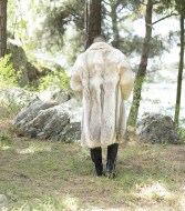 coyote8