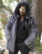 silver_fox5