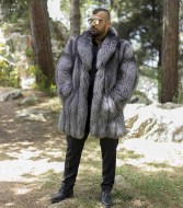 silverfox6